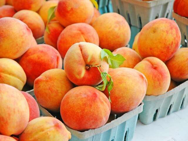 Tybee Peach Festival: A Sweet Celebration of Georgia's Finest Fruit