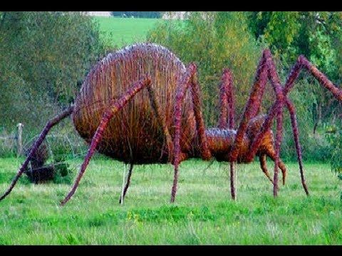 world's giant spider